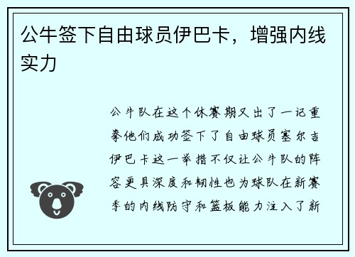 公牛签下自由球员伊巴卡，增强内线实力